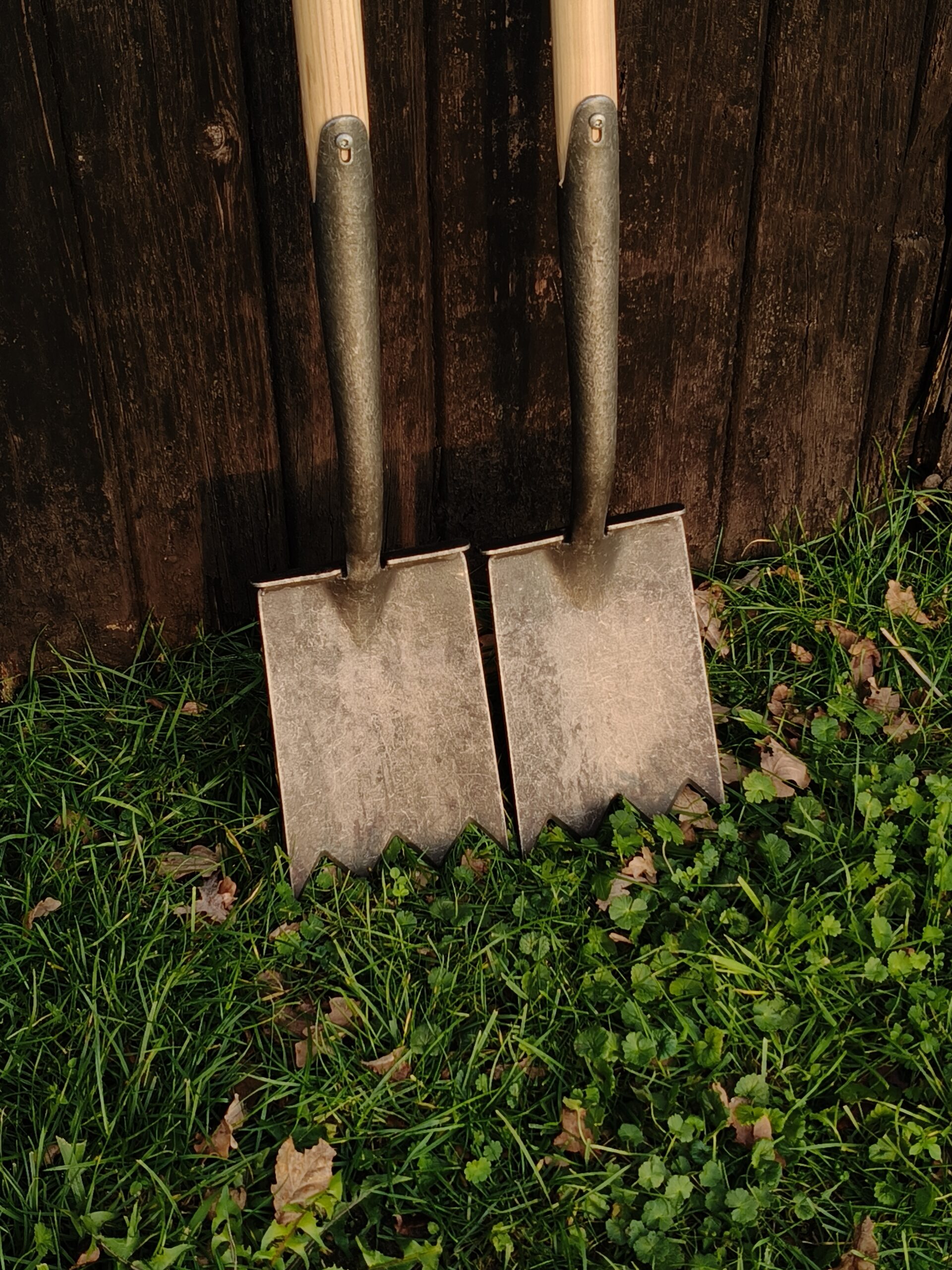 Shark Tine spade